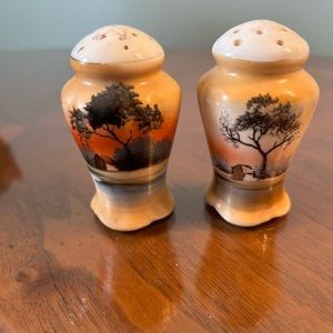 Vintage hand painted floral porcelain salt and pepper shaker Japan, Asian
